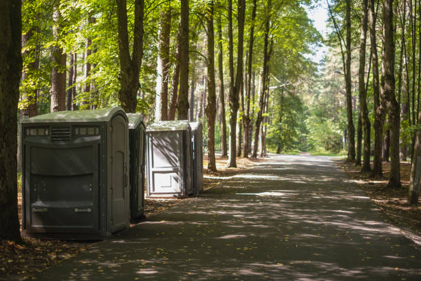 Portable Toilet Options We Offer in Park View, IA